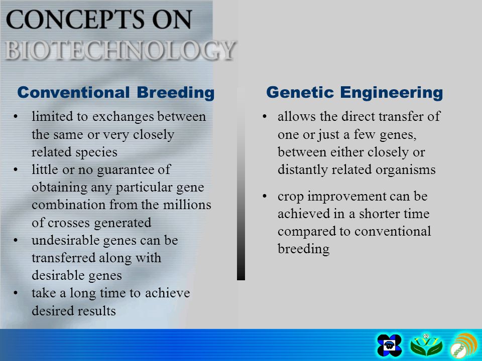limited to exchanges between the same or very closely related species little or no guarantee of obtaining any particular gene combination from the millions of crosses generated undesirable genes can be transferred along with desirable genes take a long time to achieve desired results Conventional Breeding Genetic Engineering allows the direct transfer of one or just a few genes, between either closely or distantly related organisms crop improvement can be achieved in a shorter time compared to conventional breeding