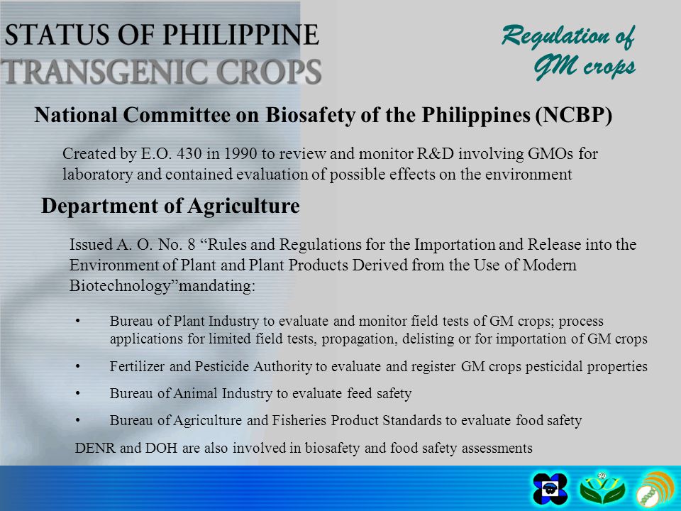 Regulation of GM crops National Committee on Biosafety of the Philippines (NCBP) Created by E.O.