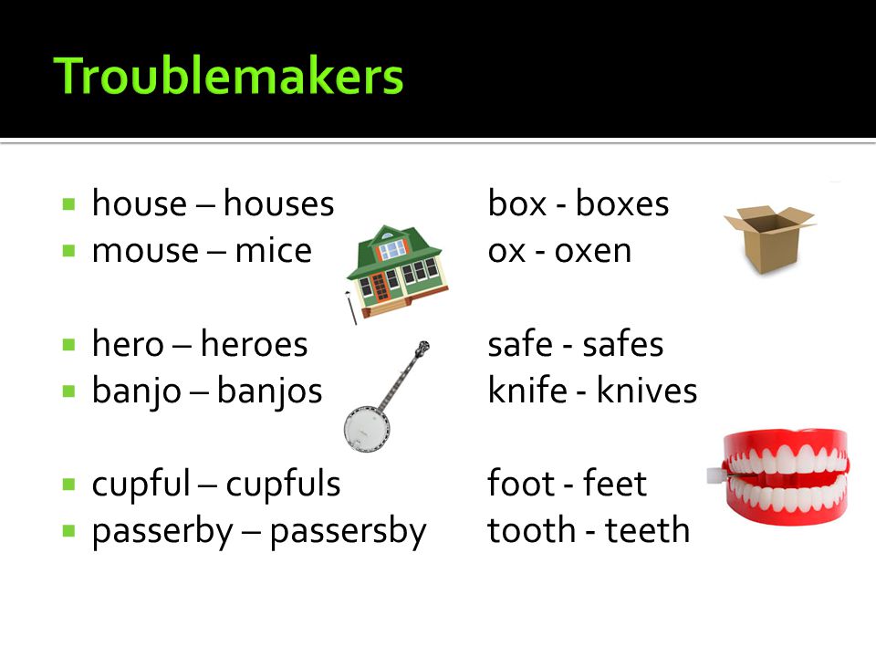  house – housesbox - boxes  mouse – miceox - oxen  hero – heroessafe - safes  banjo – banjosknife - knives  cupful – cupfulsfoot - feet  passerby – passersby tooth - teeth