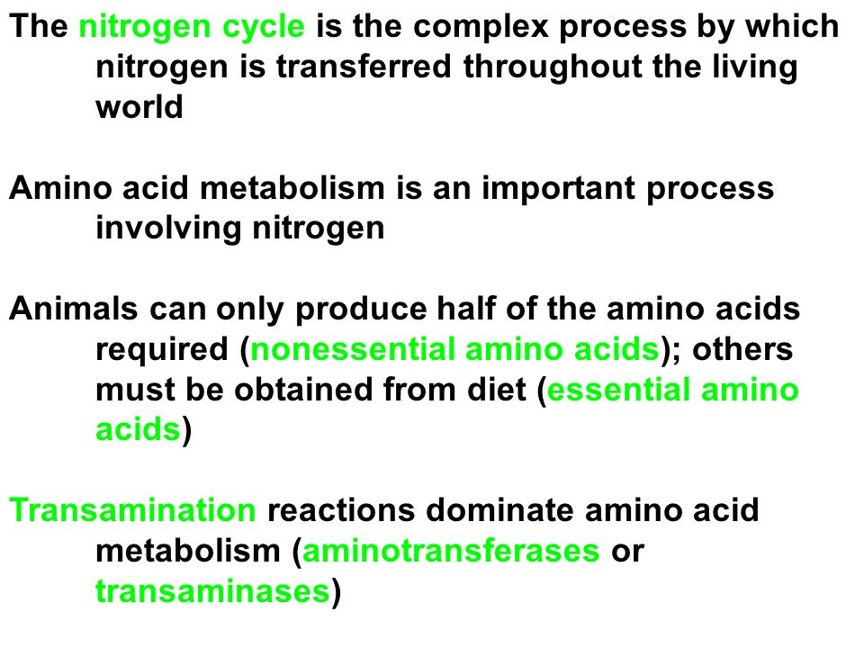 Nitrogen Metabolism 1. Nitrogen Fixation 2. Amino Acid Biosynthesis. - ppt  download