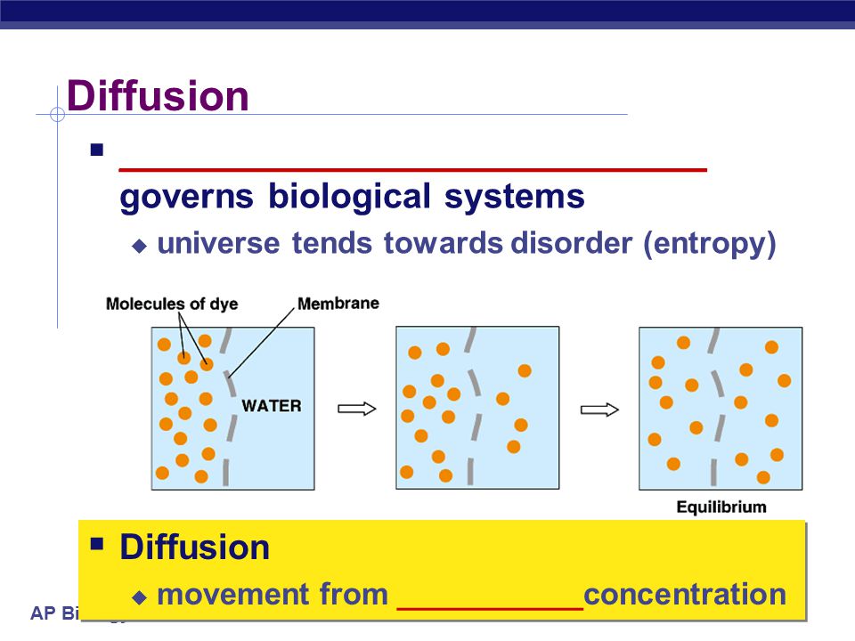 ap biology movement across the cell membrane ppt download movement across the cell membrane