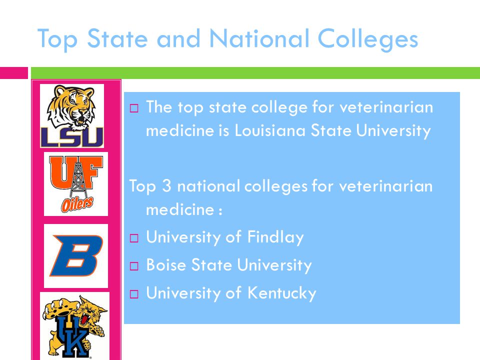 Top State and National Colleges  The top state college for veterinarian medicine is Louisiana State University Top 3 national colleges for veterinarian medicine :  University of Findlay  Boise State University  University of Kentucky
