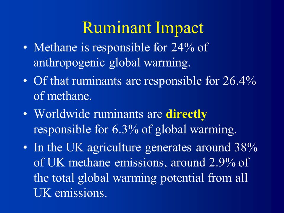 Ruminant Impact Methane is responsible for 24% of anthropogenic global warming.