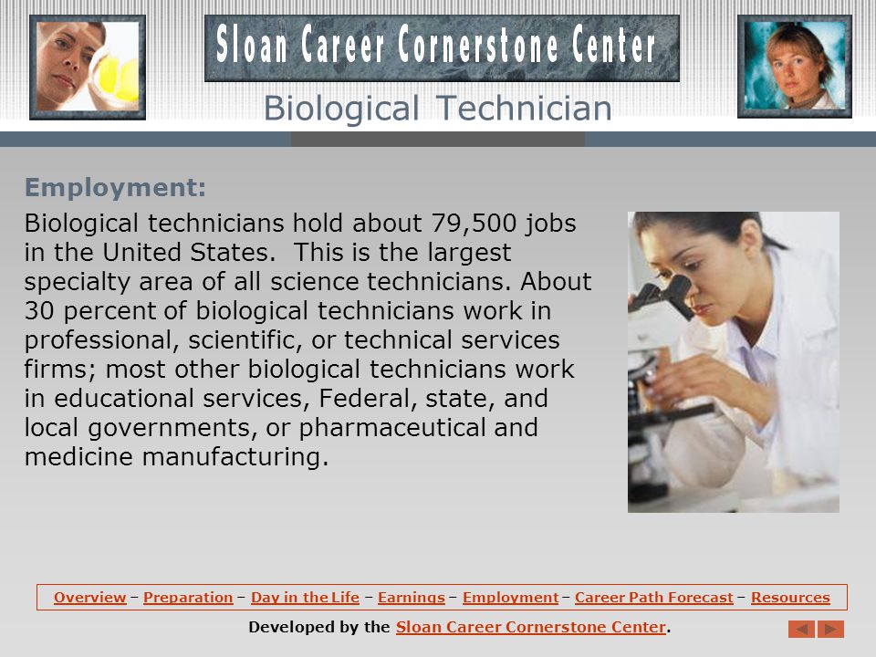 Earnings: The median hourly earnings of biological technicians is about $18.46 per hour.
