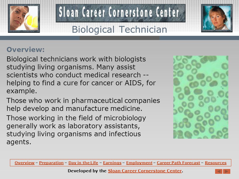 OverviewOverview – Preparation – Day in the Life – Earnings – Employment – Career Path Forecast – ResourcesPreparationDay in the LifeEarningsEmploymentCareer Path ForecastResources Developed by the Sloan Career Cornerstone Center.Sloan Career Cornerstone Center Biological Technician