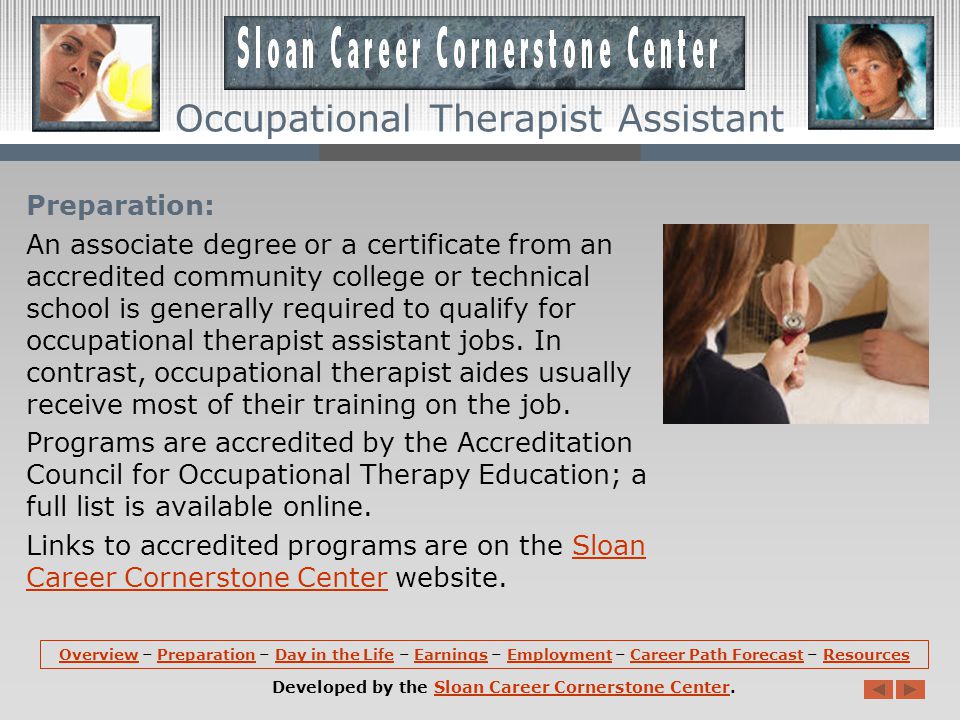 Overview (continued): They also record their client s progress for the occupational therapist.