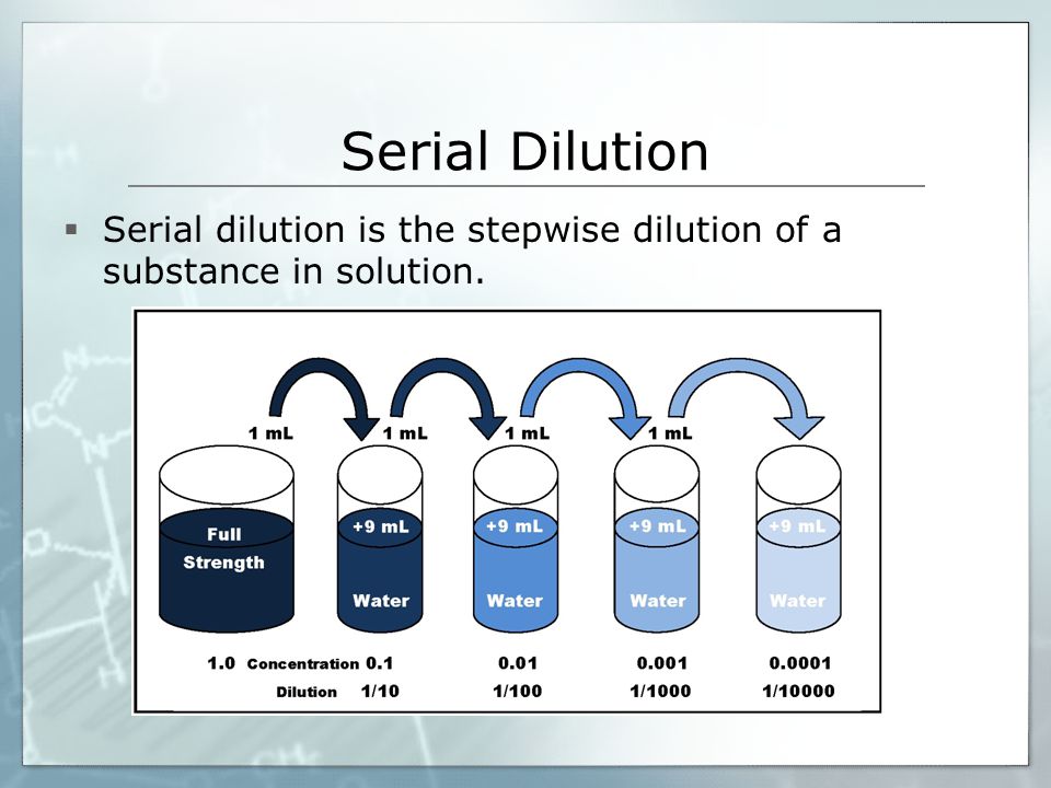 Serial Dilution  Serial dilution is the stepwise dilution of a substance in solution.