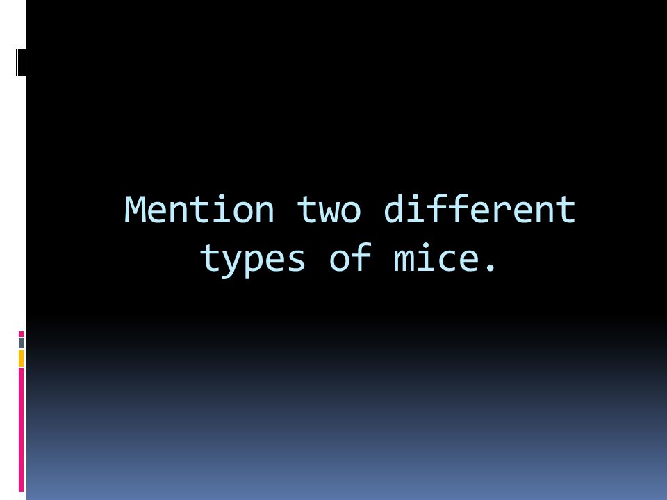 Mention two different types of mice.
