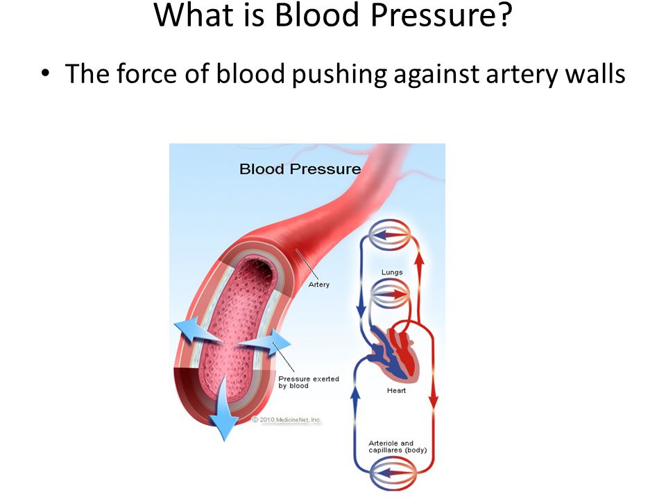 What is Blood Pressure The force of blood pushing against artery walls