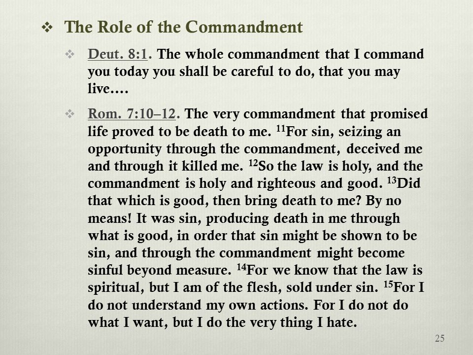  The Role of the Commandment  Deut. 8:1.