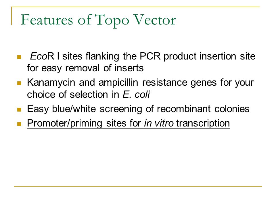 Features of Topo Vector EcoR I sites flanking the PCR product insertion site for easy removal of inserts Kanamycin and ampicillin resistance genes for your choice of selection in E.