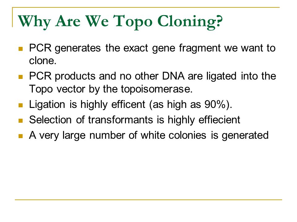 Why Are We Topo Cloning. PCR generates the exact gene fragment we want to clone.