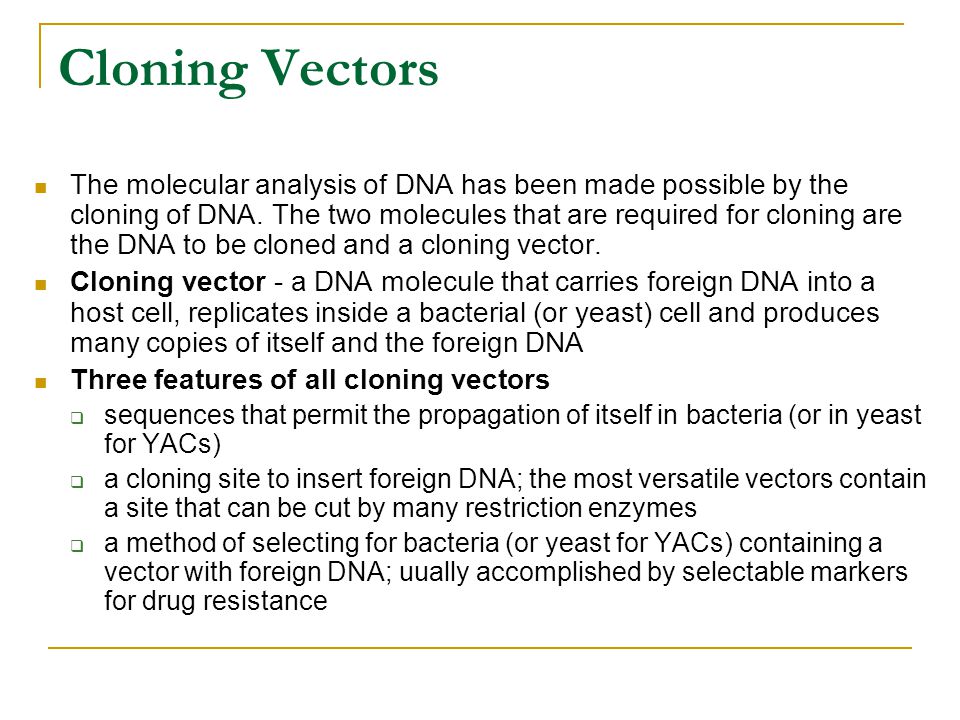 Cloning Vectors The molecular analysis of DNA has been made possible by the cloning of DNA.