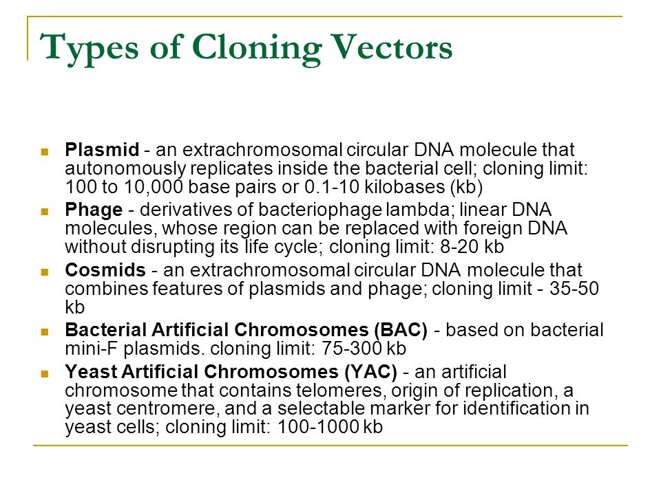 Types of Cloning Vectors Plasmid - an extrachromosomal circular DNA molecule that autonomously replicates inside the bacterial cell; cloning limit: 100 to 10,000 base pairs or kilobases (kb) Phage - derivatives of bacteriophage lambda; linear DNA molecules, whose region can be replaced with foreign DNA without disrupting its life cycle; cloning limit: 8-20 kb Cosmids - an extrachromosomal circular DNA molecule that combines features of plasmids and phage; cloning limit kb Bacterial Artificial Chromosomes (BAC) - based on bacterial mini-F plasmids.