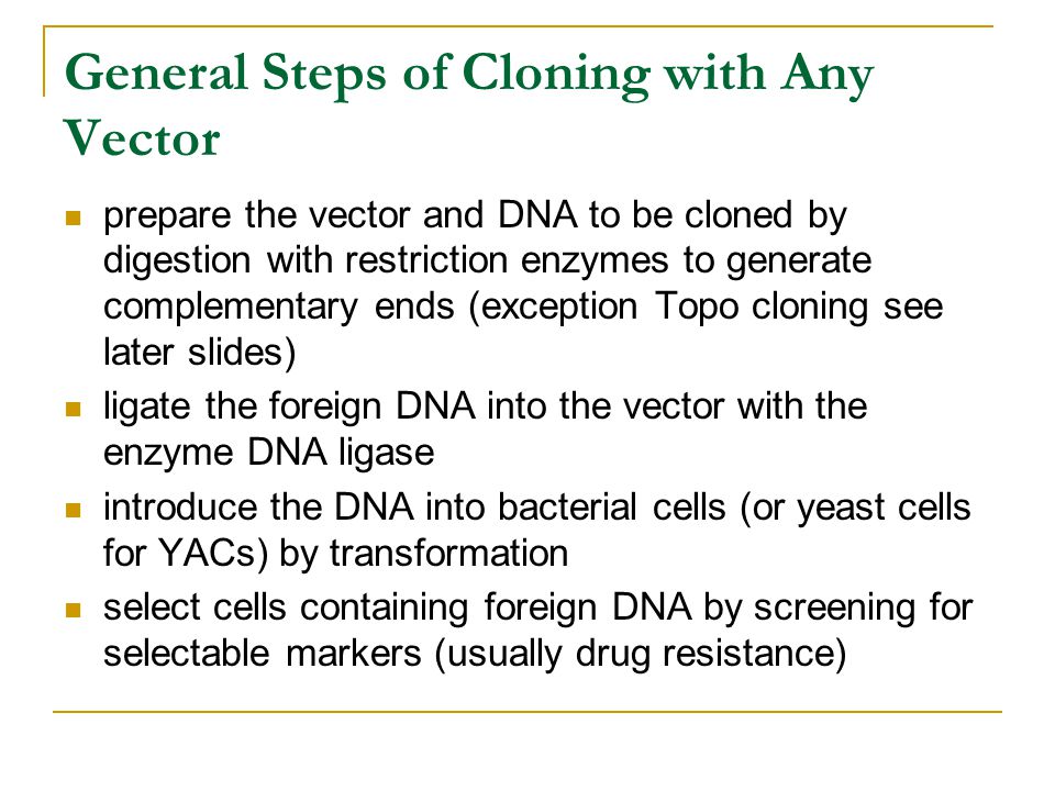 General Steps of Cloning with Any Vector prepare the vector and DNA to be cloned by digestion with restriction enzymes to generate complementary ends (exception Topo cloning see later slides) ligate the foreign DNA into the vector with the enzyme DNA ligase introduce the DNA into bacterial cells (or yeast cells for YACs) by transformation select cells containing foreign DNA by screening for selectable markers (usually drug resistance)