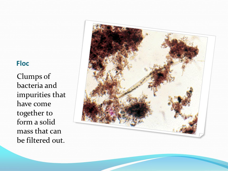 Floc Clumps of bacteria and impurities that have come together to form a solid mass that can be filtered out.