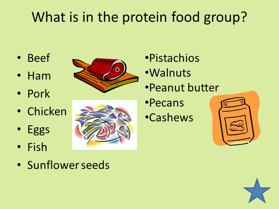 What is in the protein food group.