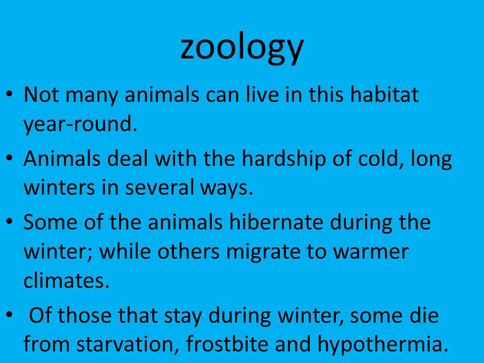 zoology Not many animals can live in this habitat year-round.