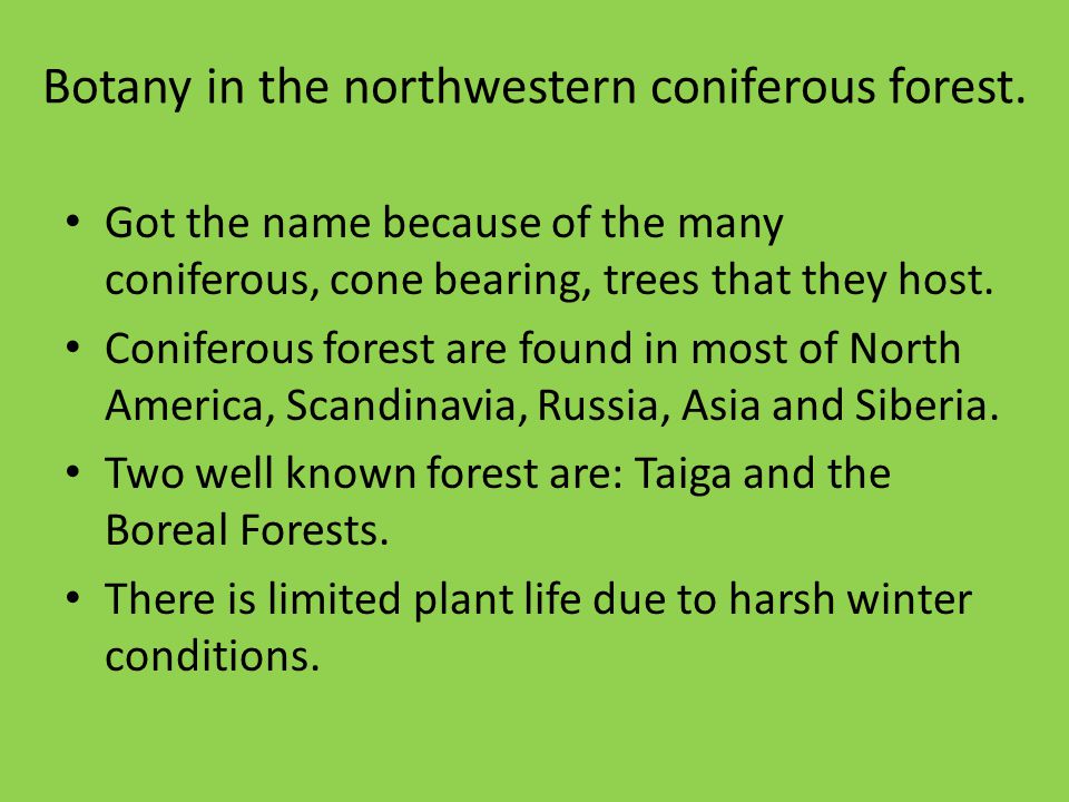 Botany in the northwestern coniferous forest.