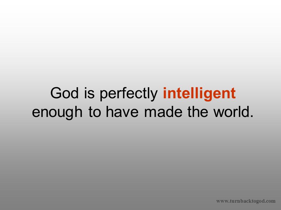 God is perfectly intelligent enough to have made the world.