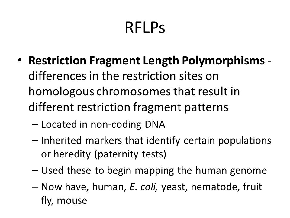 RFLPs Restriction Fragment Length Polymorphisms - differences in the restriction sites on homologous chromosomes that result in different restriction fragment patterns – Located in non-coding DNA – Inherited markers that identify certain populations or heredity (paternity tests) – Used these to begin mapping the human genome – Now have, human, E.