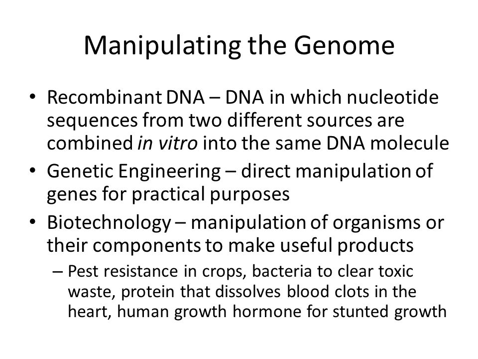 Manipulating the Genome Recombinant DNA – DNA in which nucleotide sequences from two different sources are combined in vitro into the same DNA molecule Genetic Engineering – direct manipulation of genes for practical purposes Biotechnology – manipulation of organisms or their components to make useful products – Pest resistance in crops, bacteria to clear toxic waste, protein that dissolves blood clots in the heart, human growth hormone for stunted growth