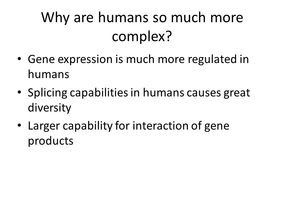 Why are humans so much more complex.