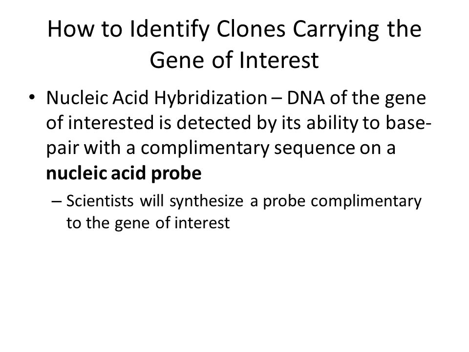 How to Identify Clones Carrying the Gene of Interest Nucleic Acid Hybridization – DNA of the gene of interested is detected by its ability to base- pair with a complimentary sequence on a nucleic acid probe – Scientists will synthesize a probe complimentary to the gene of interest