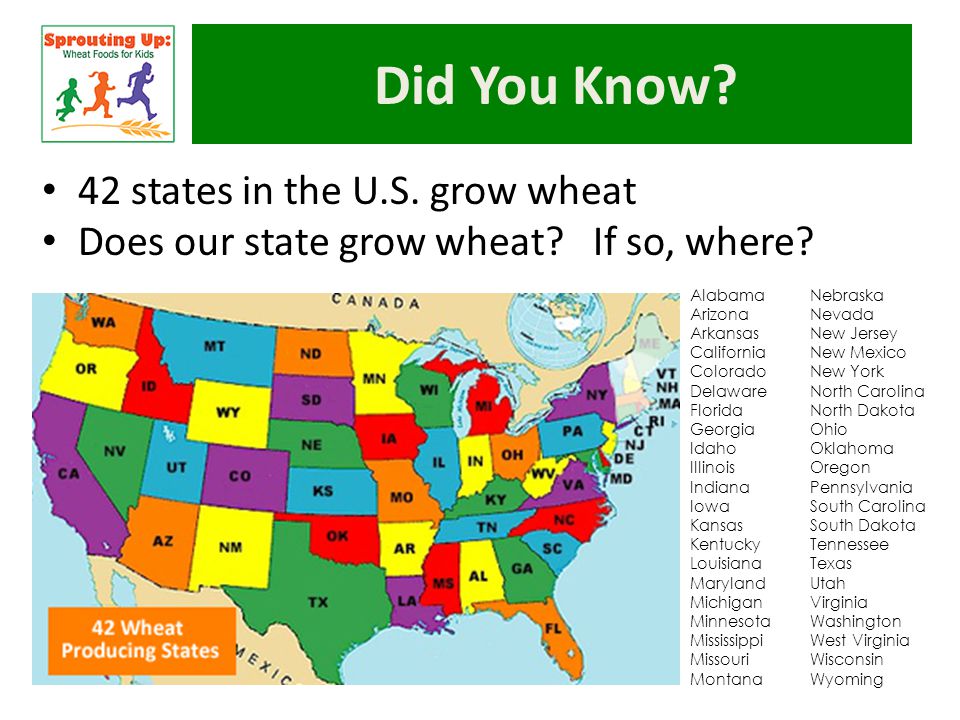 The Wheat You Eat How It S Grown And Made Into Our Food Ppt Download