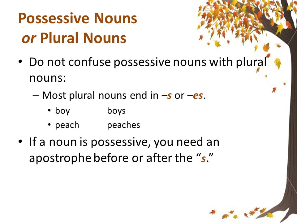 Plural v. Possessive When and Where to Use an Apostrophe