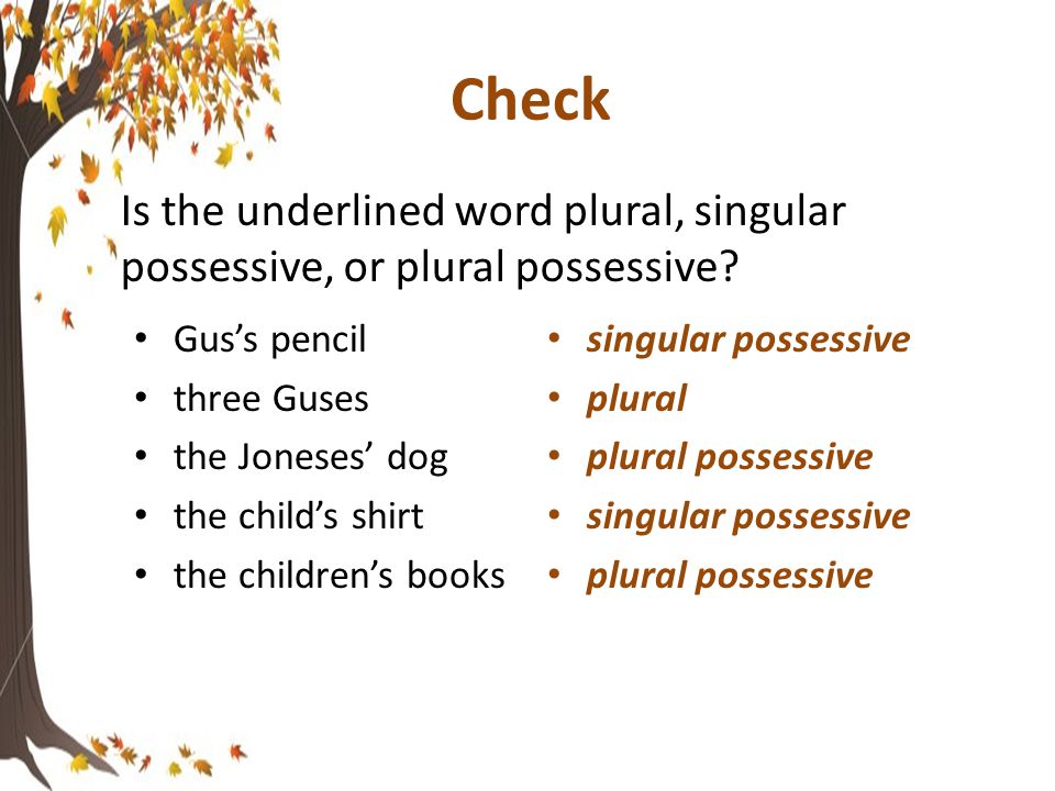 Check six wolves wolf’s tail three boys two boys’ shoes one boy’s socks plural singular possessive plural plural possessive singular possessive Is the underlined word plural, singular possessive, or plural possessive