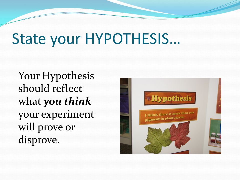 State your HYPOTHESIS… Your Hypothesis should reflect what you think your experiment will prove or disprove.