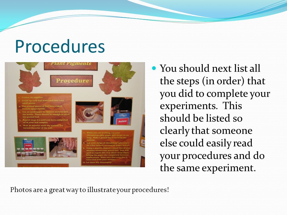 Procedures You should next list all the steps (in order) that you did to complete your experiments.