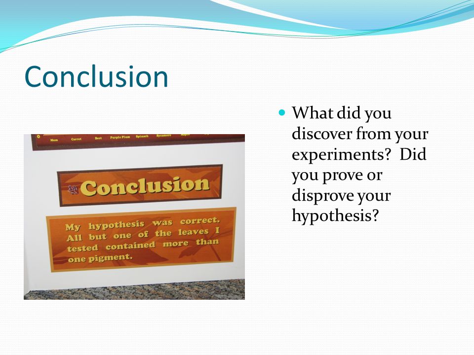 Conclusion What did you discover from your experiments Did you prove or disprove your hypothesis