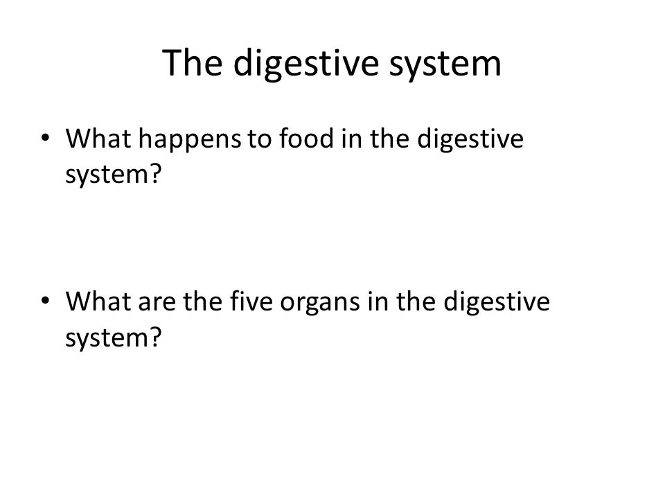 The digestive system What happens to food in the digestive system.