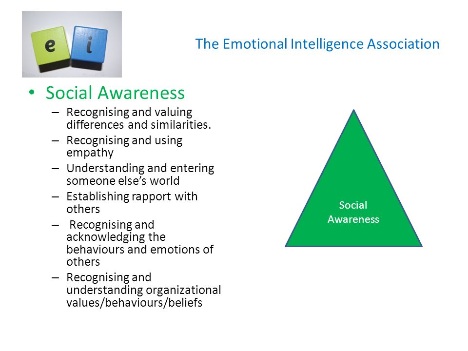 The Emotional Intelligence Association Social Awareness – Recognising and valuing differences and similarities.