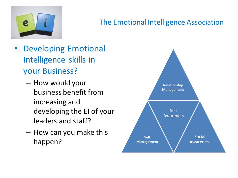 The Emotional Intelligence Association Developing Emotional Intelligence skills in your Business.