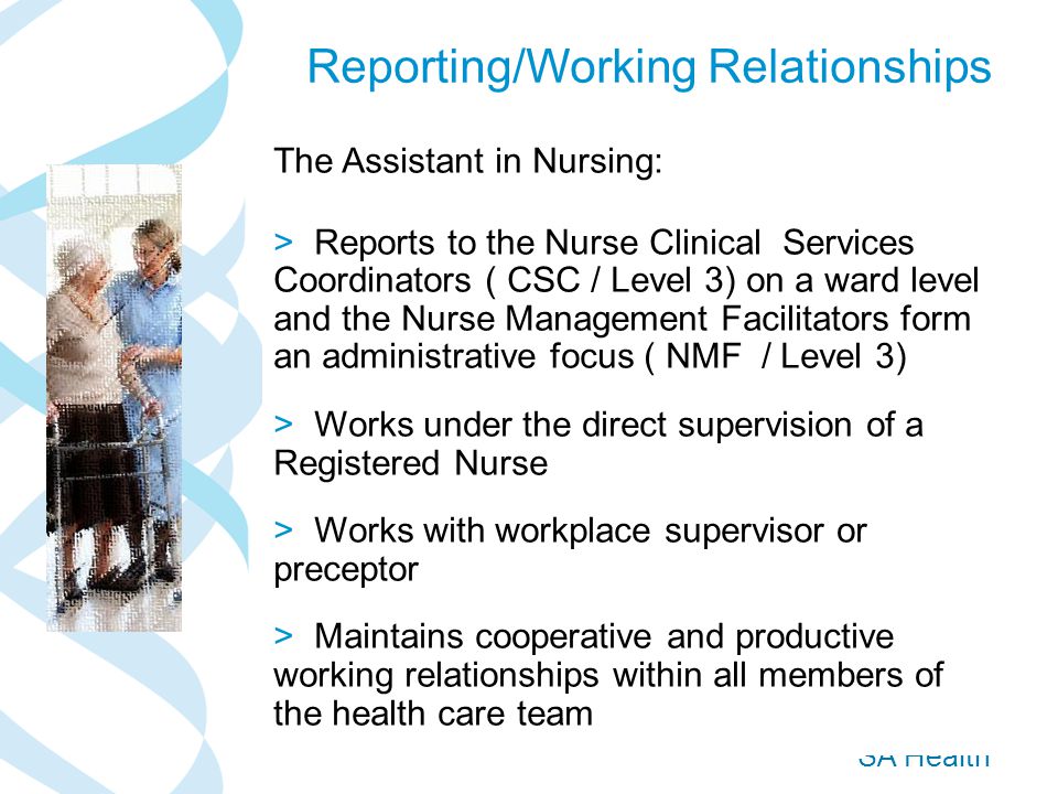 SA Health The Assistant in Nursing: > Reports to the Nurse Clinical Services Coordinators ( CSC / Level 3) on a ward level and the Nurse Management Facilitators form an administrative focus ( NMF / Level 3) > Works under the direct supervision of a Registered Nurse > Works with workplace supervisor or preceptor > Maintains cooperative and productive working relationships within all members of the health care team Reporting/Working Relationships