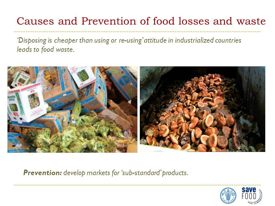 Causes and Prevention of food losses and waste ‘Disposing is cheaper than using or re-using’ attitude in industrialized countries leads to food waste.