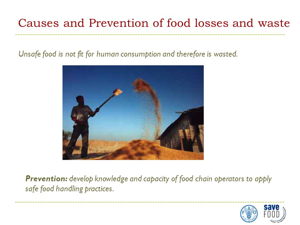 Causes and Prevention of food losses and waste Unsafe food is not fit for human consumption and therefore is wasted.