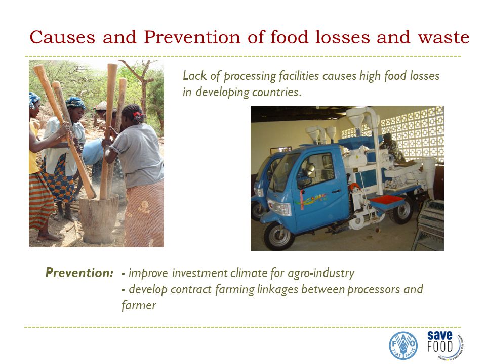 Causes and Prevention of food losses and waste Lack of processing facilities causes high food losses in developing countries.