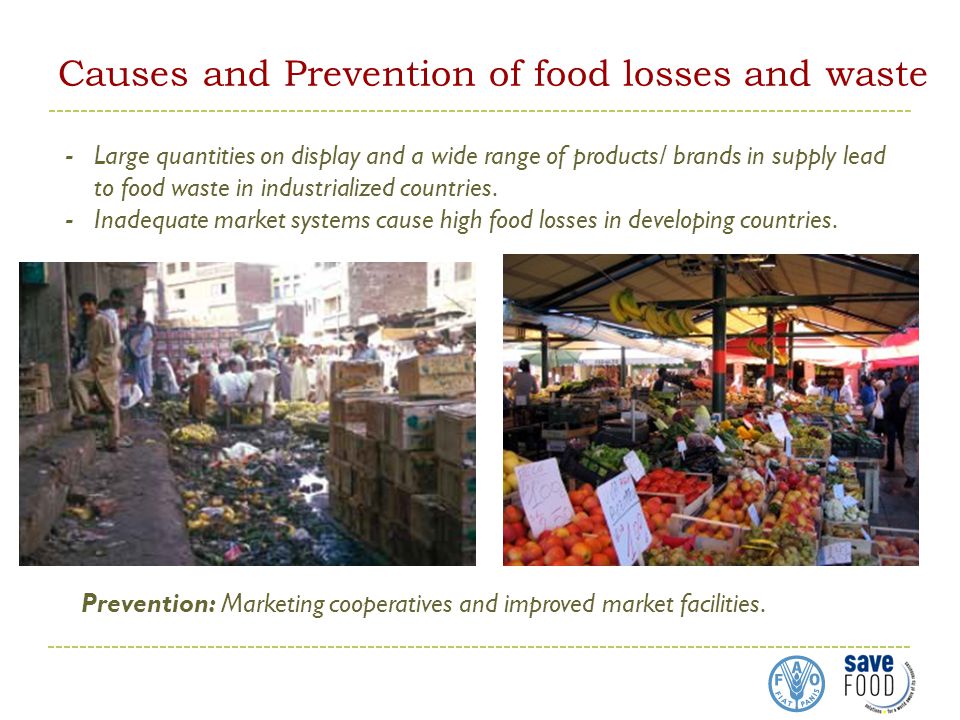 Causes and Prevention of food losses and waste -Large quantities on display and a wide range of products/ brands in supply lead to food waste in industrialized countries.