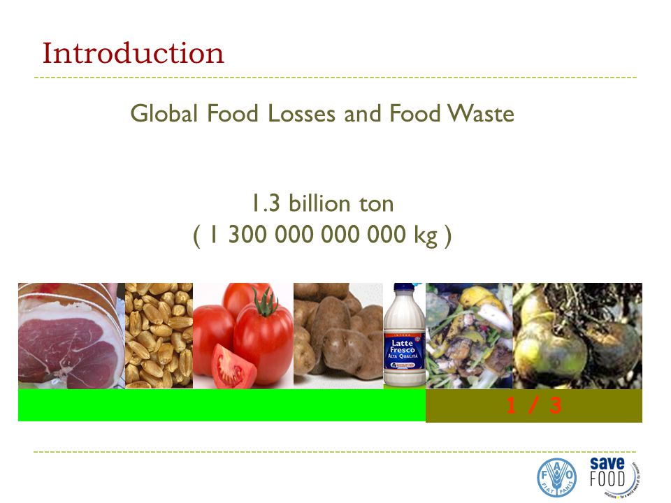 Introduction 1 / 3 Global Food Losses and Food Waste 1.3 billion ton ( kg )