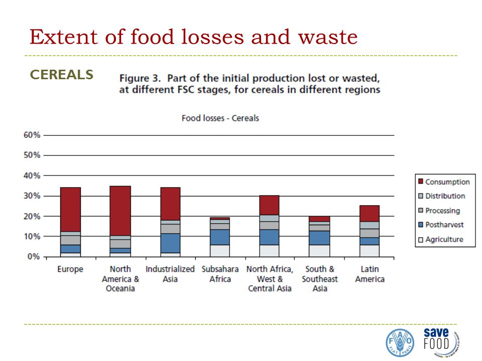 Extent of food losses and waste CEREALS