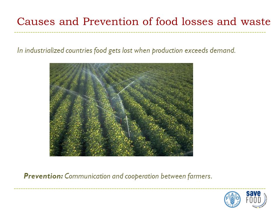 Causes and Prevention of food losses and waste In industrialized countries food gets lost when production exceeds demand.
