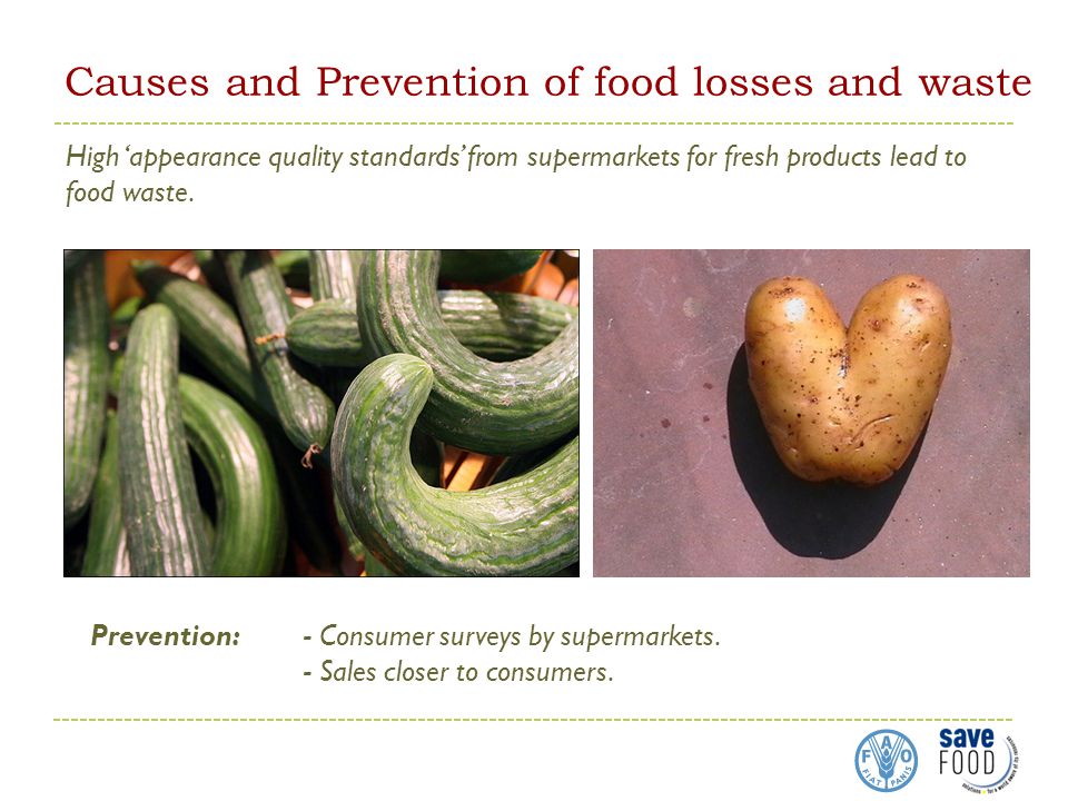 Causes and Prevention of food losses and waste High ‘appearance quality standards’ from supermarkets for fresh products lead to food waste.