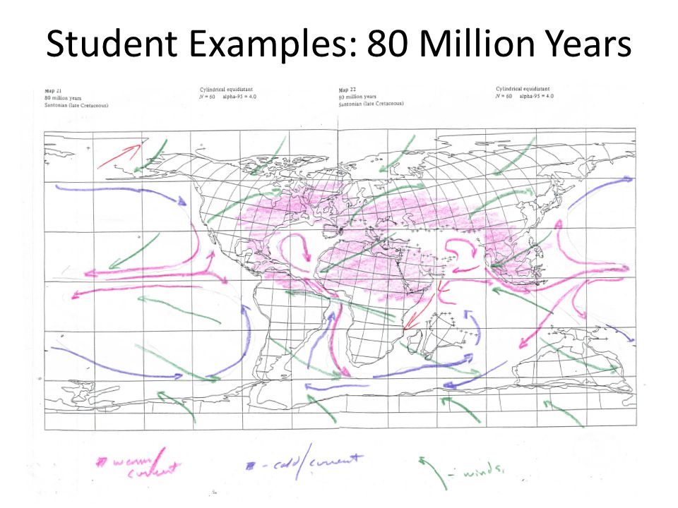 Student Examples: 80 Million Years