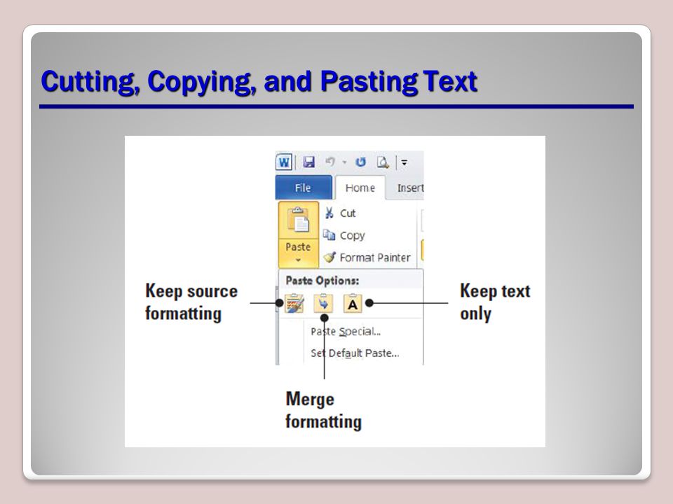 Cutting, Copying, and Pasting Text