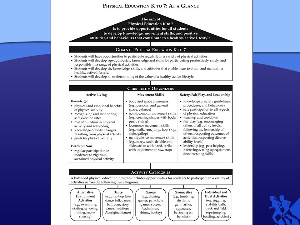 essay sample education experience
