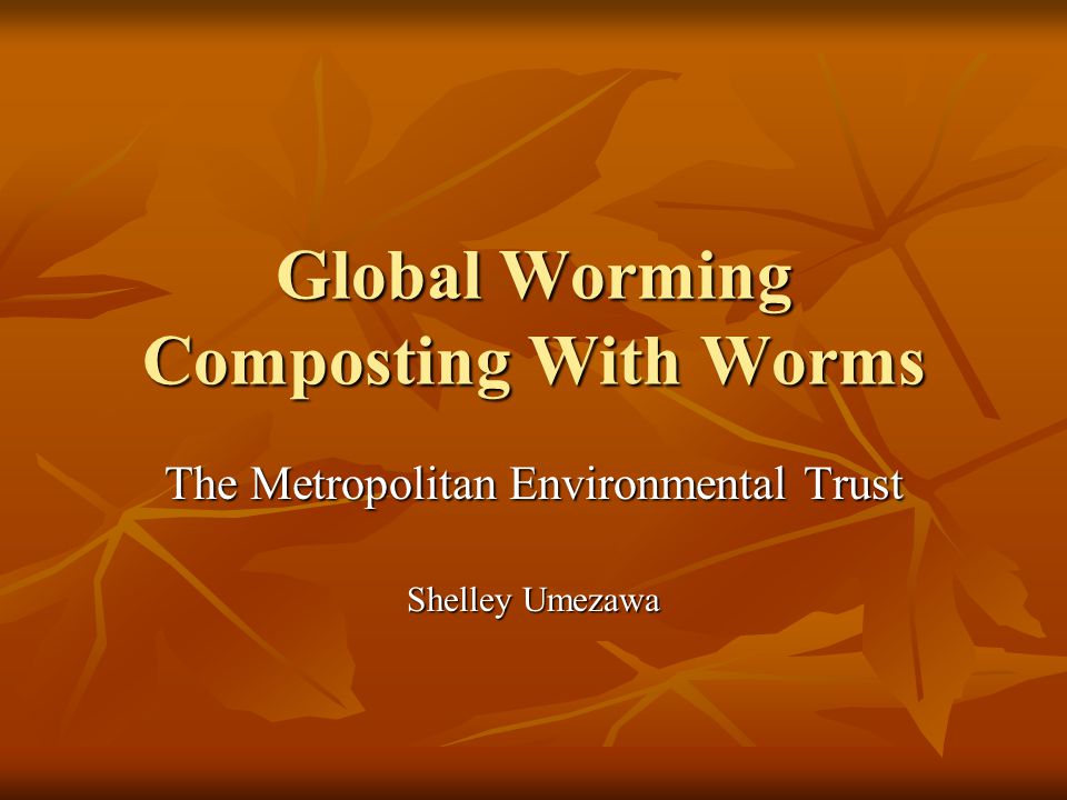 Global Worming Composting With Worms The Metropolitan Environmental Trust Shelley Umezawa